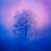 Album-Review: Wallners - End Of Circles Wallners: End Of Circles