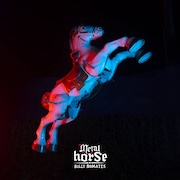 Album-Review: Billy Nomates - Metalhorse Billy Nomates: Metalhorse