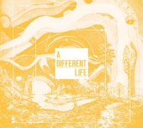 Album-Review: Catt - A Different Life Catt: A Different Life