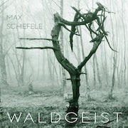 Album-Review: Max Schiefele - Waldgeist Max Schiefele: Waldgeist