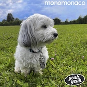 Album-Review: Monomonaco - Yeah Yeah Monomonaco: Yeah Yeah