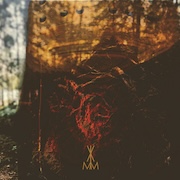 Album-Review: Vlimmer - Bodenhex Vlimmer: Bodenhex